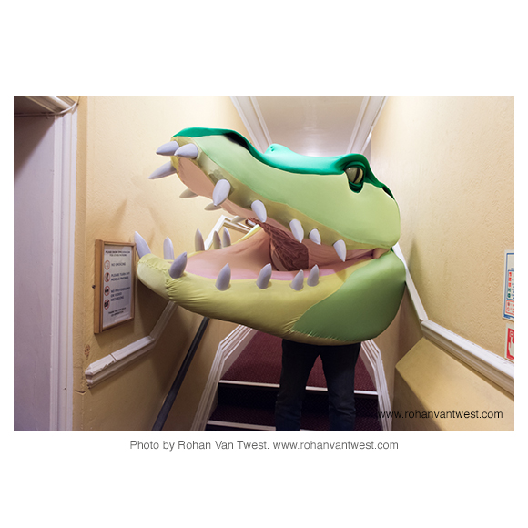 The Crocodile arrives
